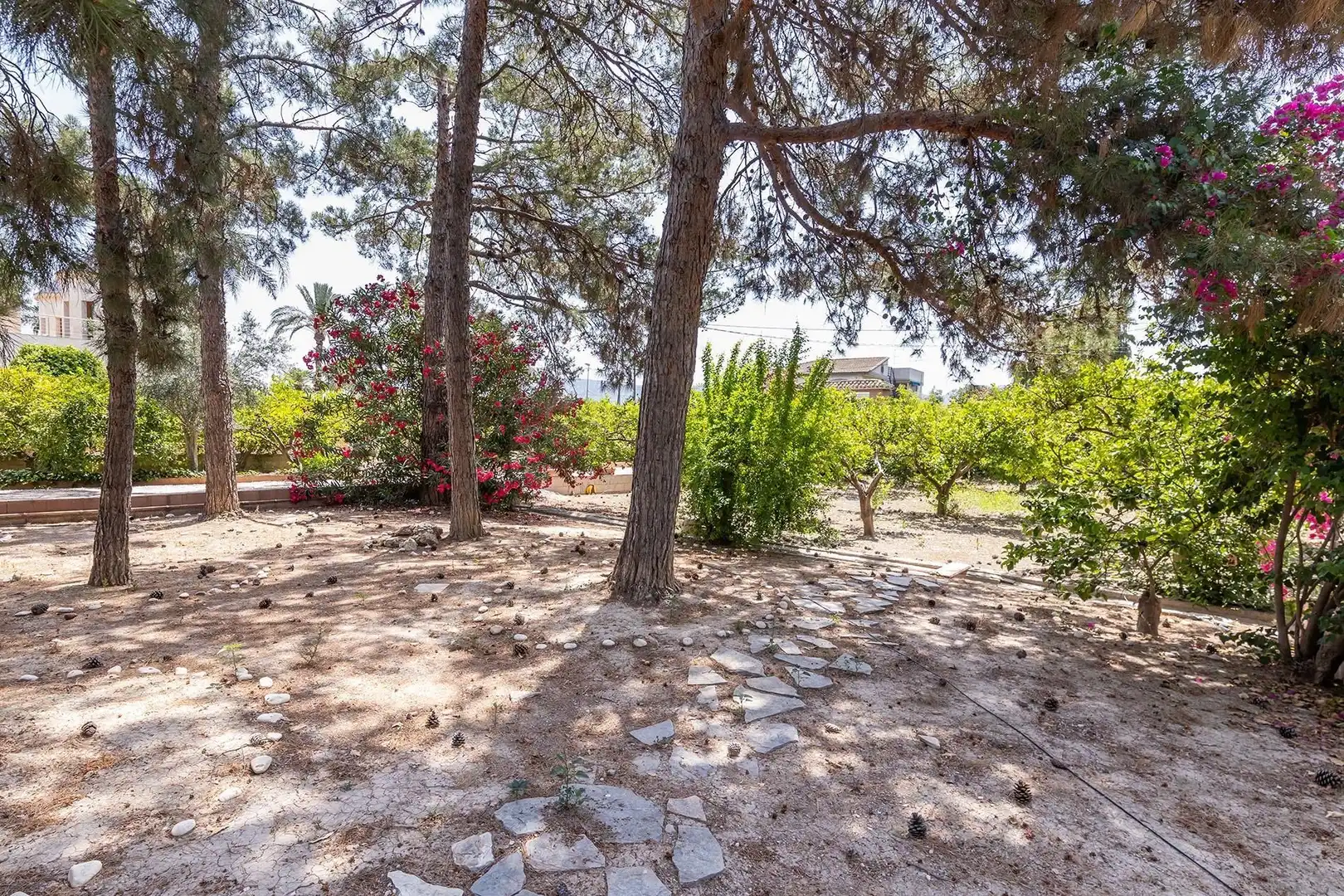 Casa amb piscina en venda a Pedanías Este, imagen 68