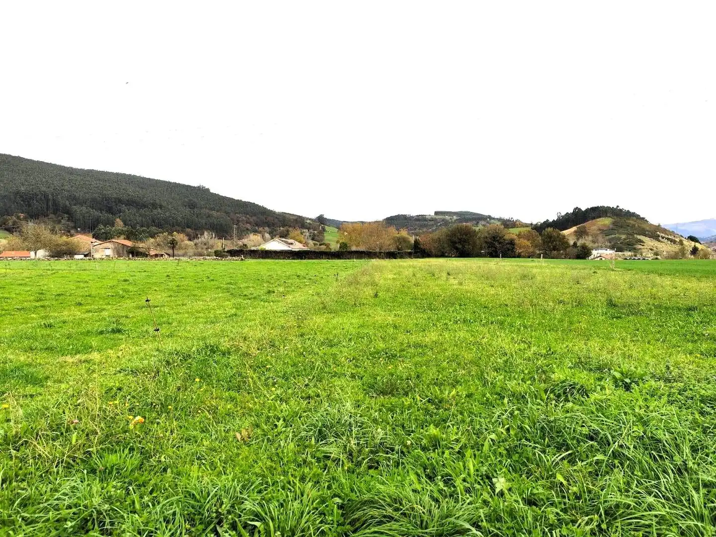 Grundstücke und Bauplätze zum Verkauf in Castañeda, imagen 5