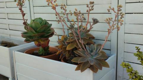 Foto 3 de Àtic en venda a La Angelita, Cádiz