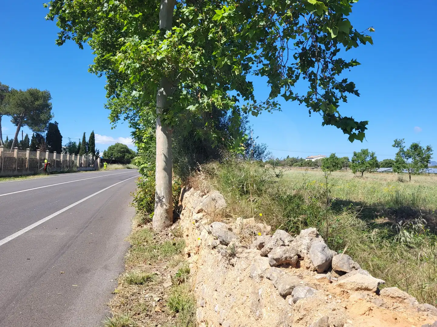 Terrain rustique à vendre à Polígono 2 Parcela 1, imagen 15