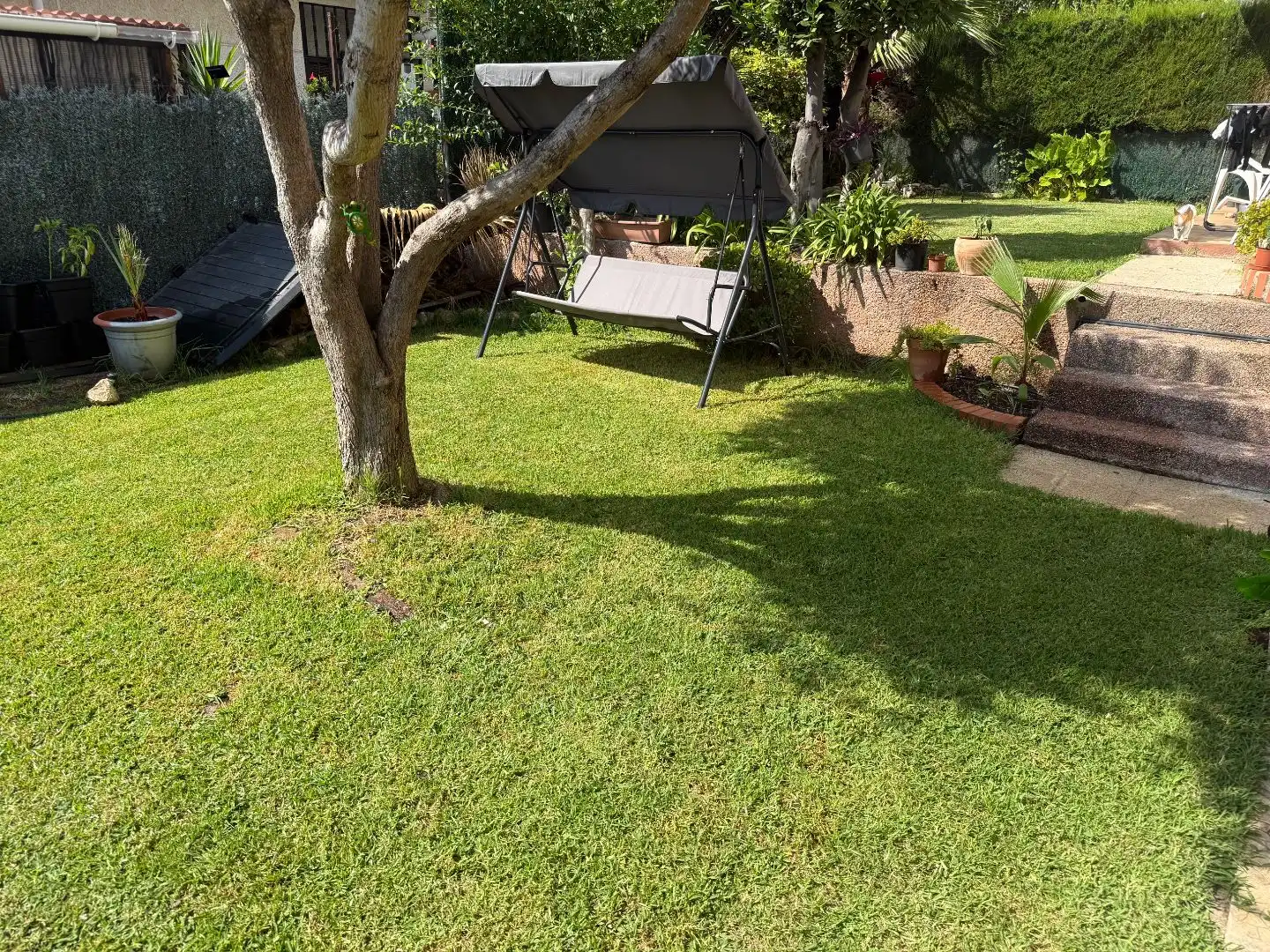 Erdgeschosswohnung mit Garten zum Verkauf in Avinguda Can Nicolau 0, imagen 5
