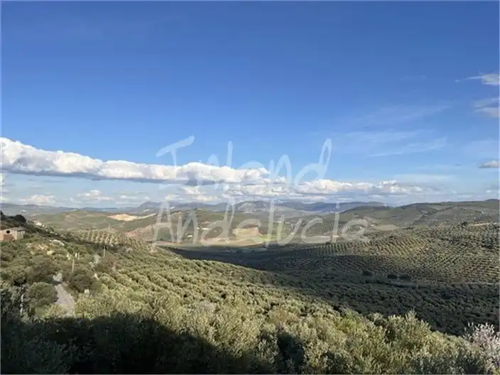 Casa rústica amb piscina en venda a Alcalá la Real, imagen 16