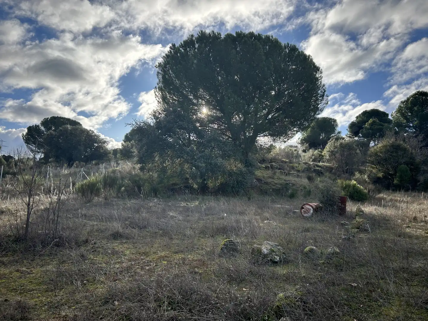 Terreno en venta en El Tiemblo 