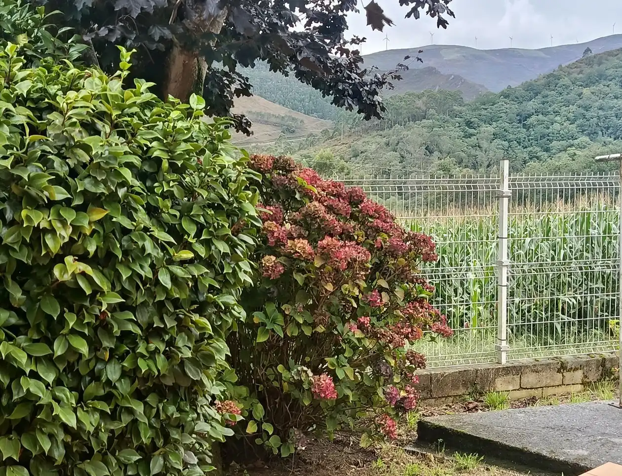 Maison avec terrasse à vendre à N/A, imagen 77