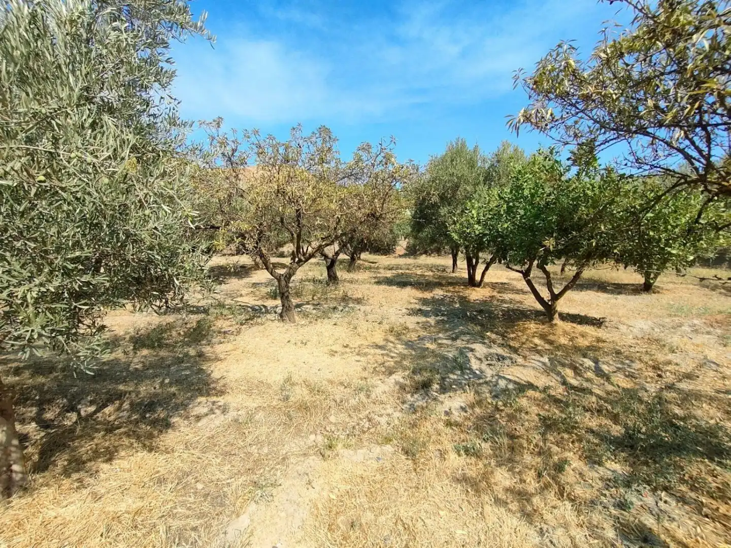 Grundstücke und Bauplätze zum Verkauf in Ugíjar, imagen 8