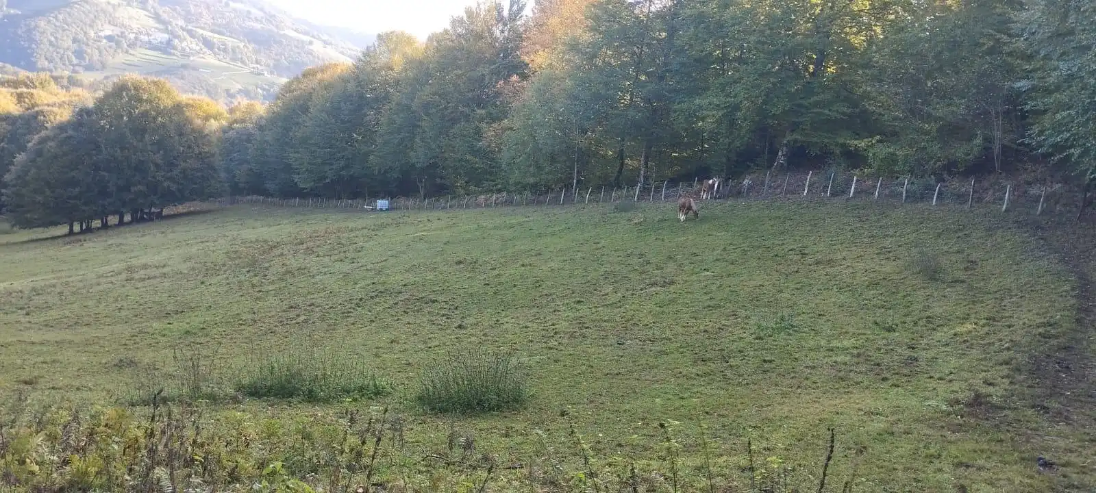 Terreno en venta en Basaburua, Navarra
