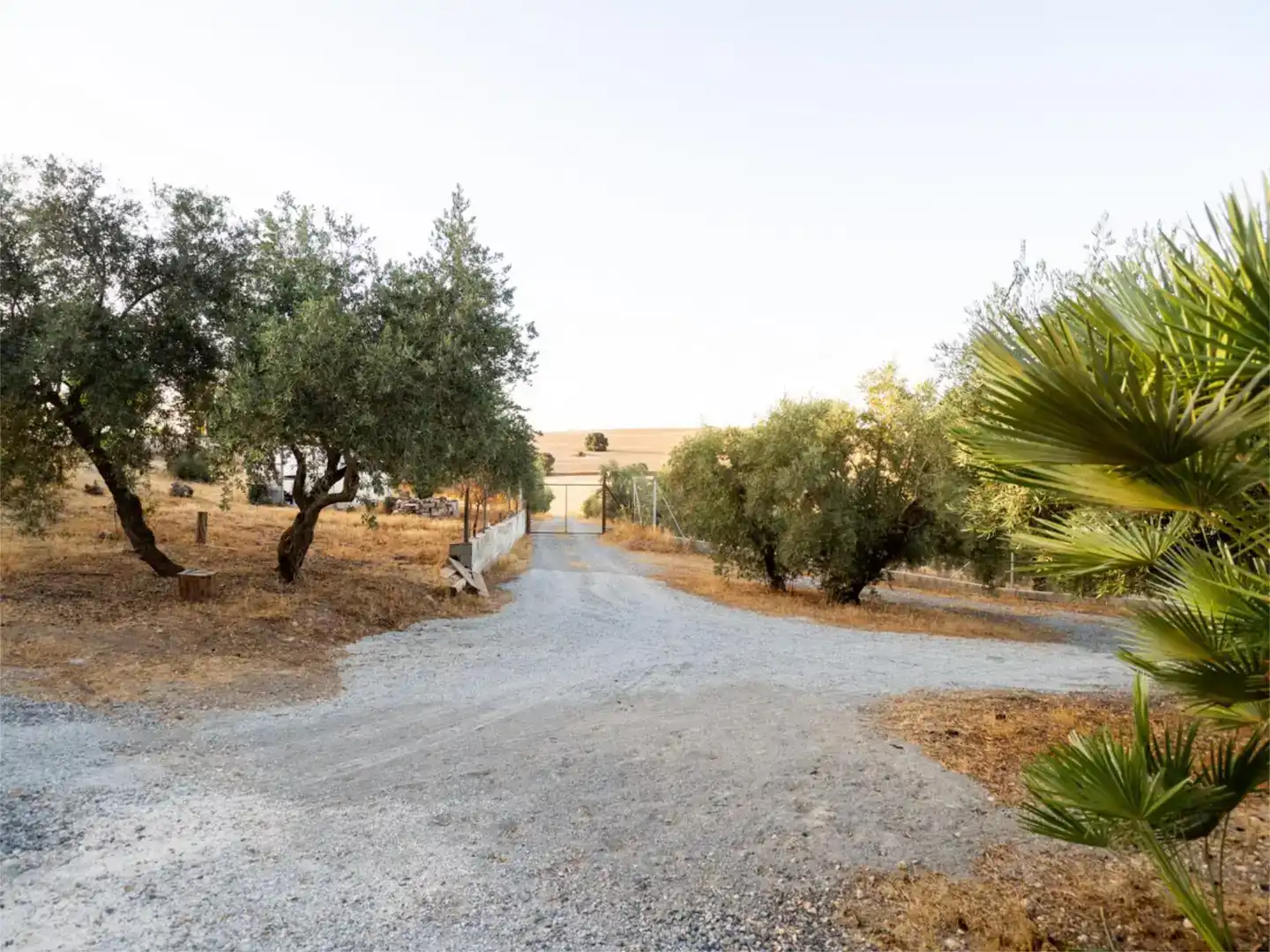 Finca rústica en venda en Alhama de Granada amb Aire condicionat i Piscina