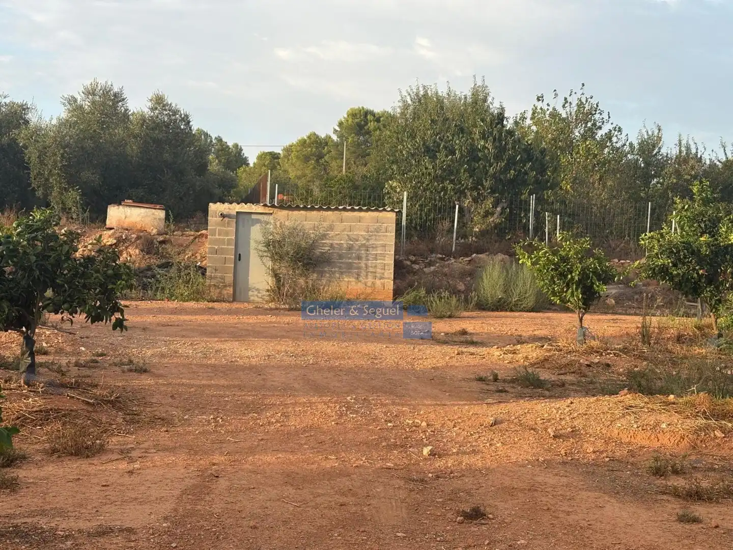 Terrenos y solares en venta en Algímia de Alfara, imagen 9