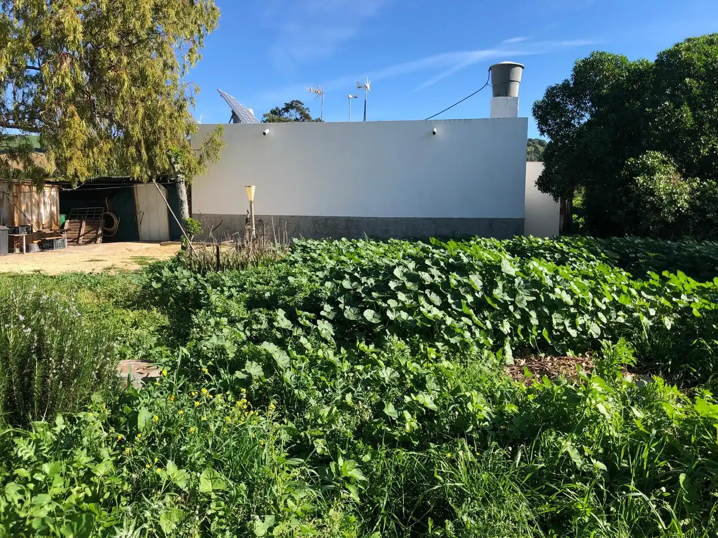 Country house for sale in Vejer, imagen 2
