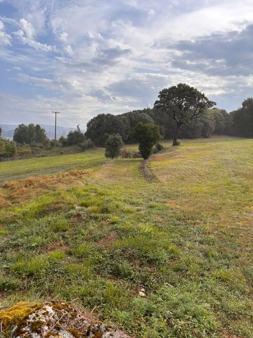 Rural land for sale in Erandio, imagen 13