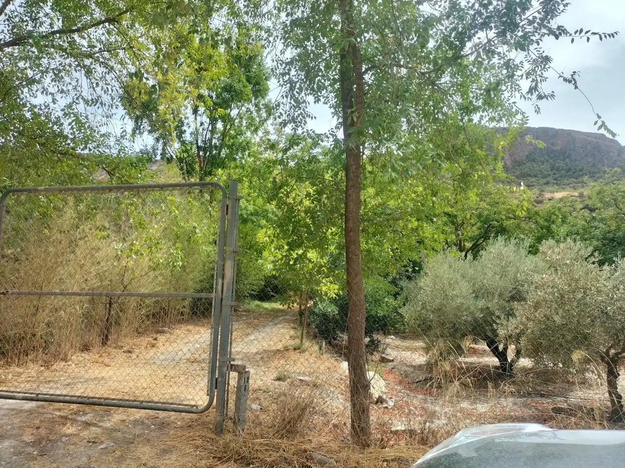 Casa rústica en venda a Lecrín, imagen 8