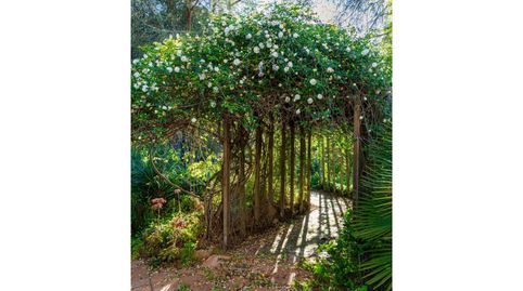 Foto 4 de Casa o chalet en venta en Dehesa - Monacilla, Aljaraque