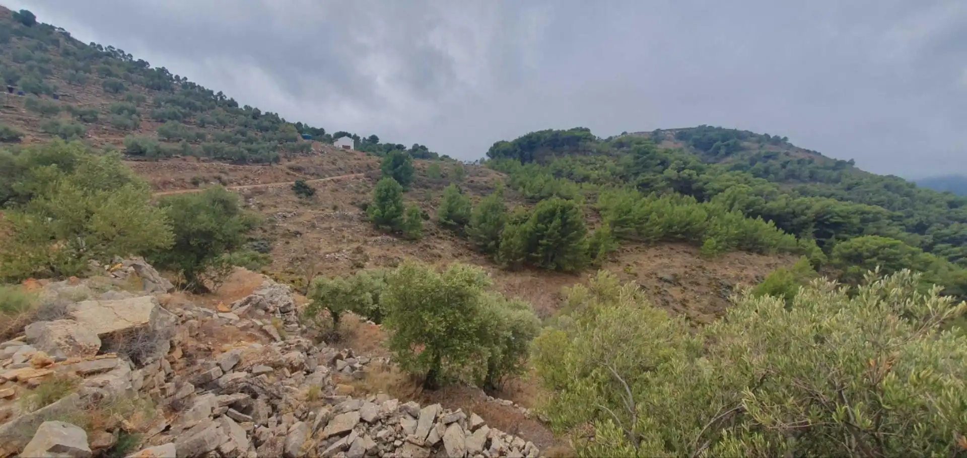 Terrenos y solares en venta en Yunquera, imagen 5