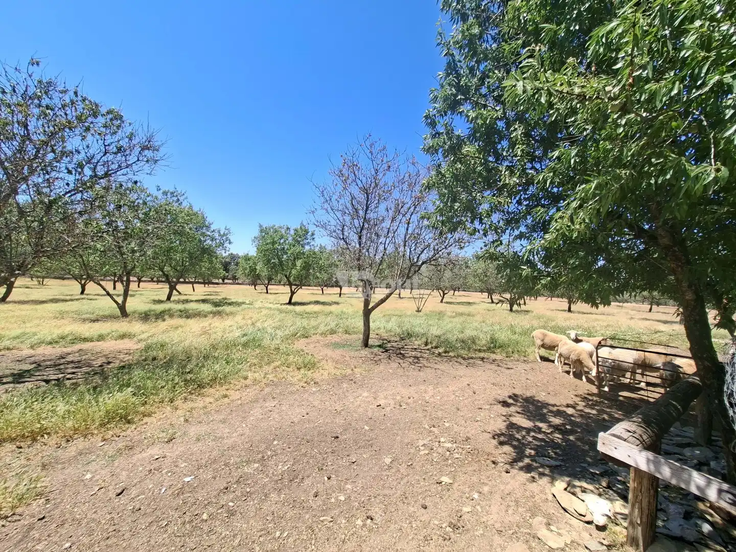 Detached homes for sale in Malpartida de Plasencia  with Swimming Pool