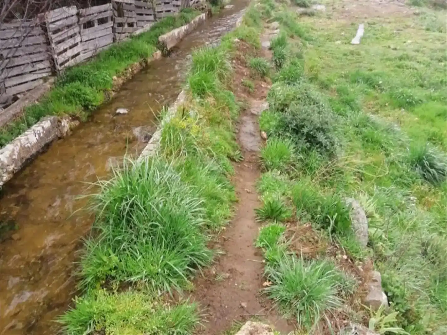 Vista exterior de Finca rústica en venta en Becedas con Jardín privado