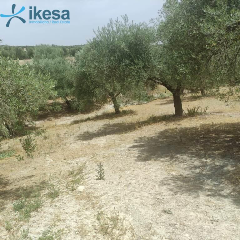 Finca rústica en venda en  Jaén Capital