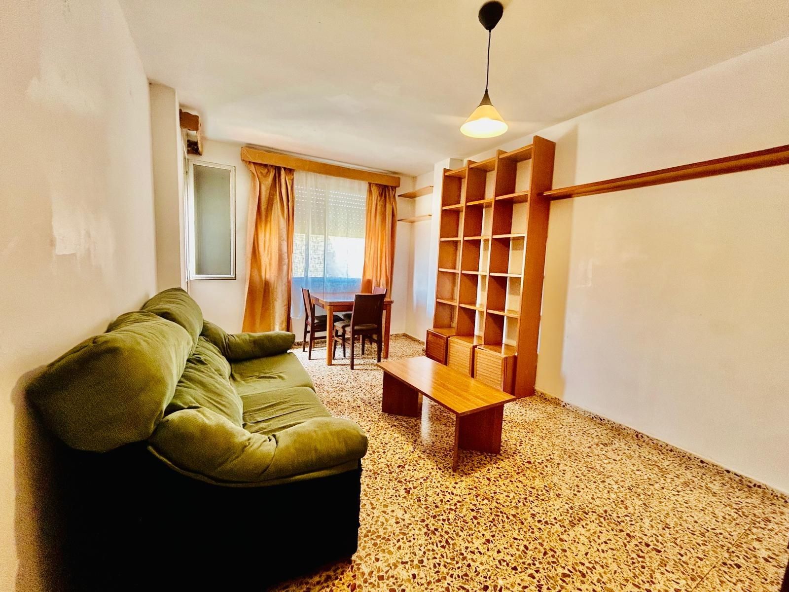 Sala d'estar de Pis en venda en Amposta amb Alarma
