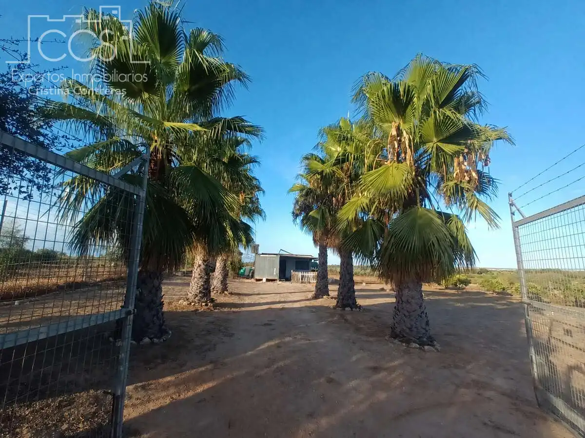 Casa rústica con jardín en venta en Bollullos Par del Condado, imagen 3