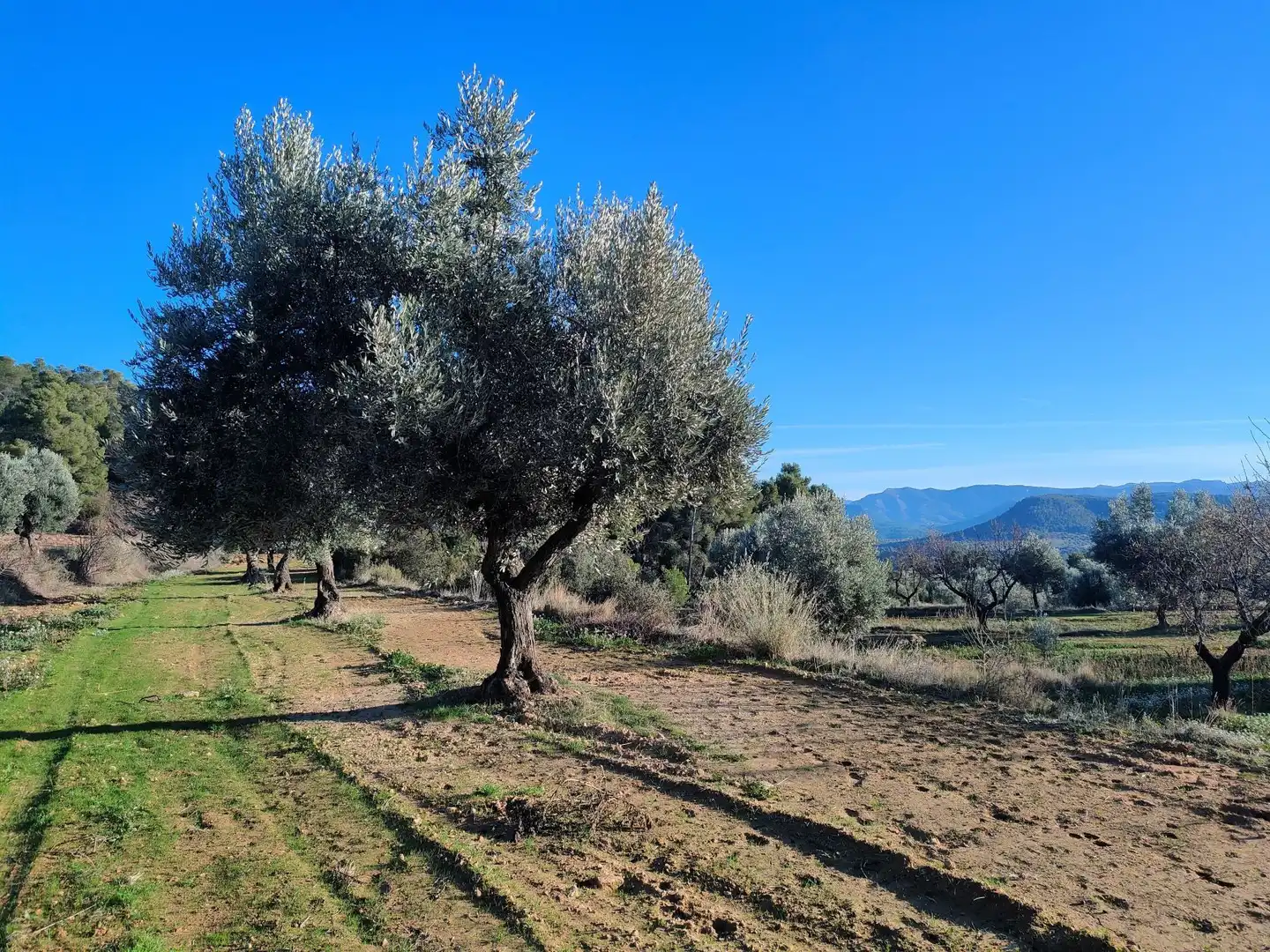 Terreni e lotti in vendita a La Fresneda, imagen 9