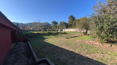 Immagine 1 dell'annuncio