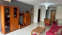 Living room of Flat for sale in  Lleida Capital  with Air Conditioner and Heating