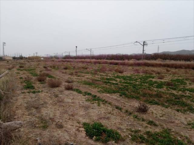 Terreno residencial en Venta en El Burgo de Ebro