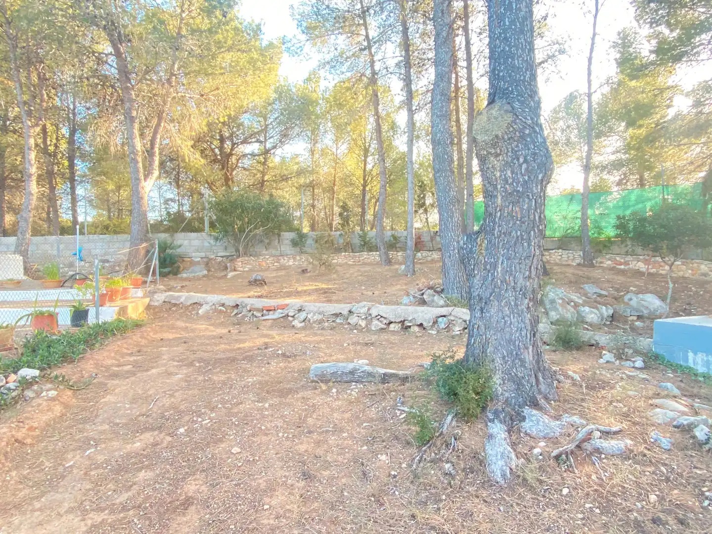 Casa o xalet en venda a Carlet