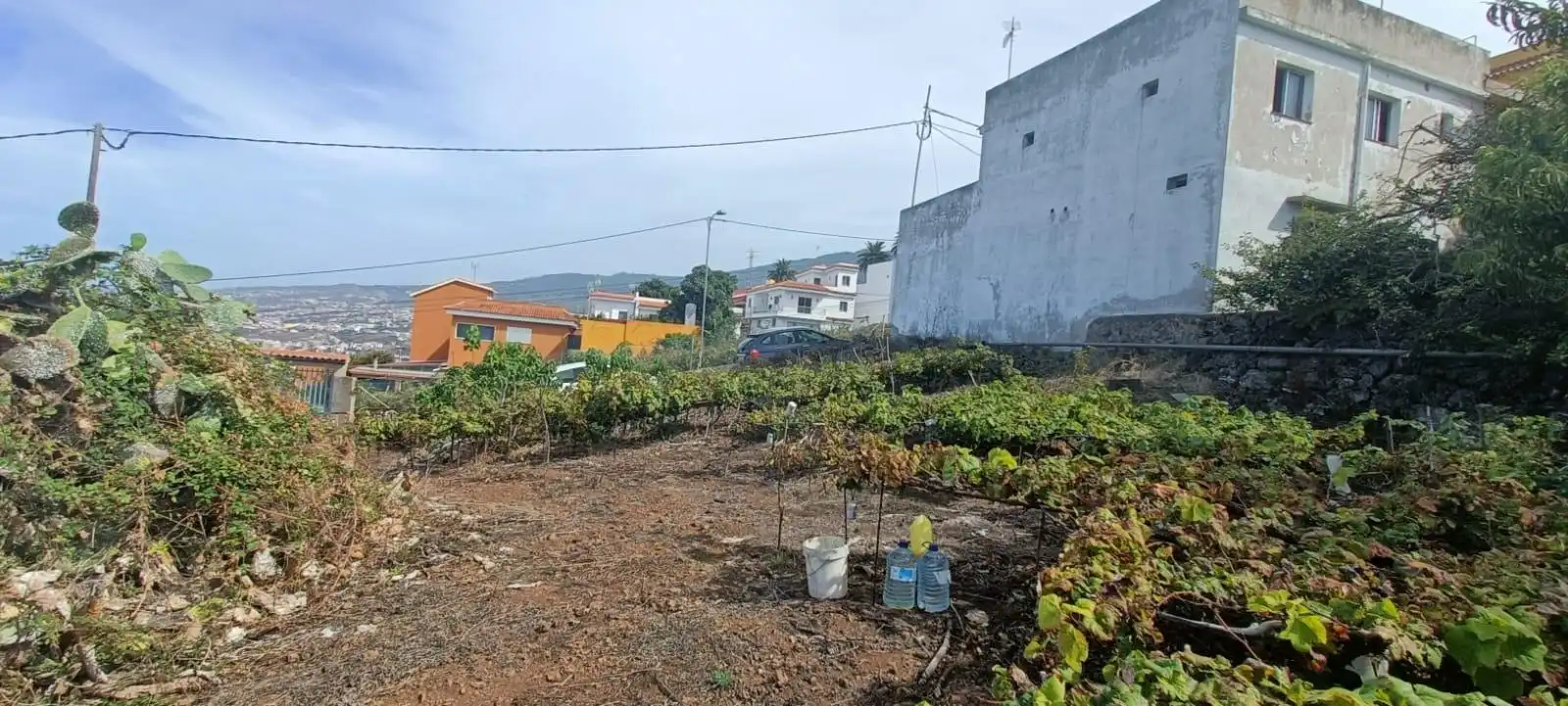 Terreno rústico en venta en Calle Zumacal 80, imagen 17