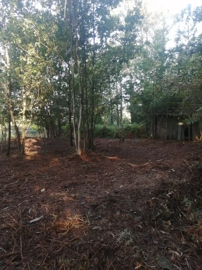 Finca rústica en venta en Ponteareas