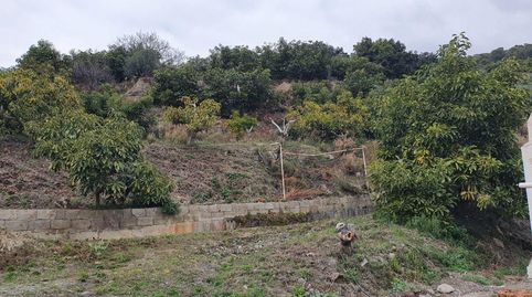 Guájar AltoFinca Rustica, imagen 5
