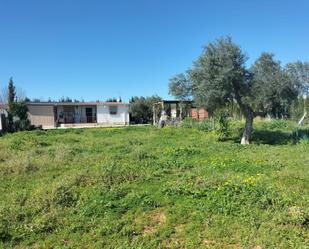 Land for sale in Tomares