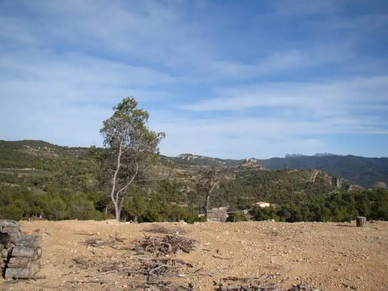 Residential land for sale in La Pobla de Claramunt, imagen 6