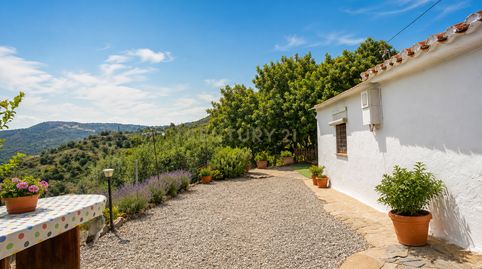 Foto 3 de Casa o chalet en venta en Cam. Altos de Jaboneros, 230, 29193, Málaga, Spain, -1, Olías, Málaga Capital
