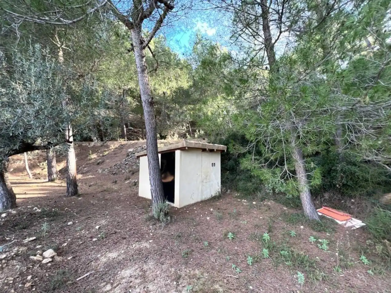 Villa avec jardin à vendre à Penàguila, imagen 83
