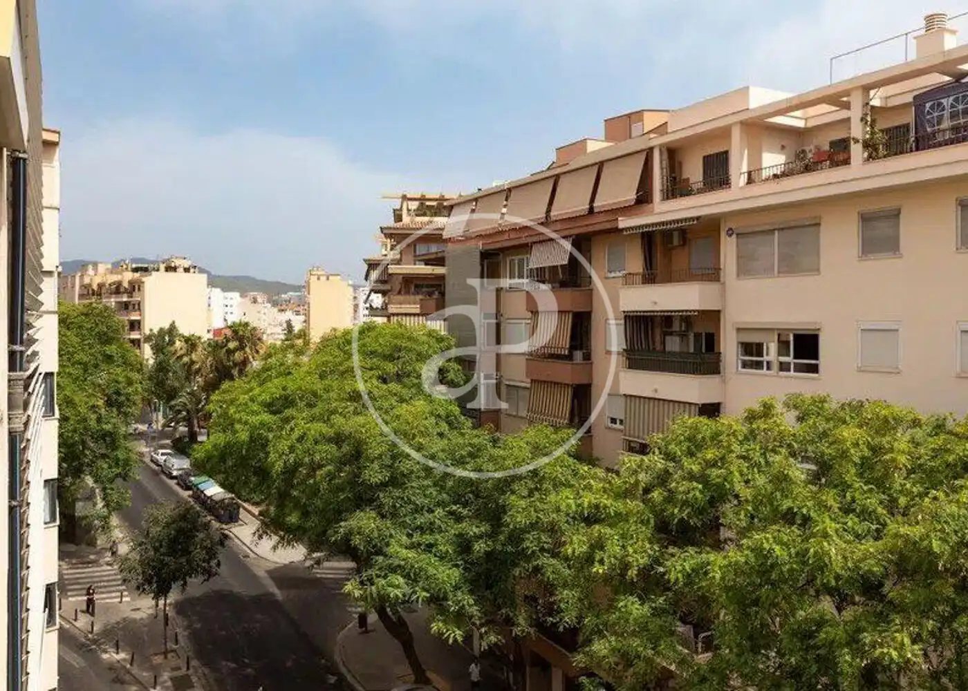 Vista exterior de Pis en venda en  Palma de Mallorca amb Aire condicionat, Calefacció i Moblat
