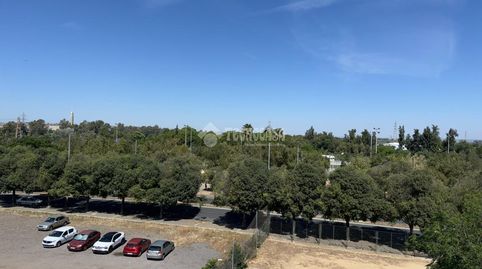 Foto 2 de Piso en venta en San Jerónimo - La Bachillera, Sevilla Capital