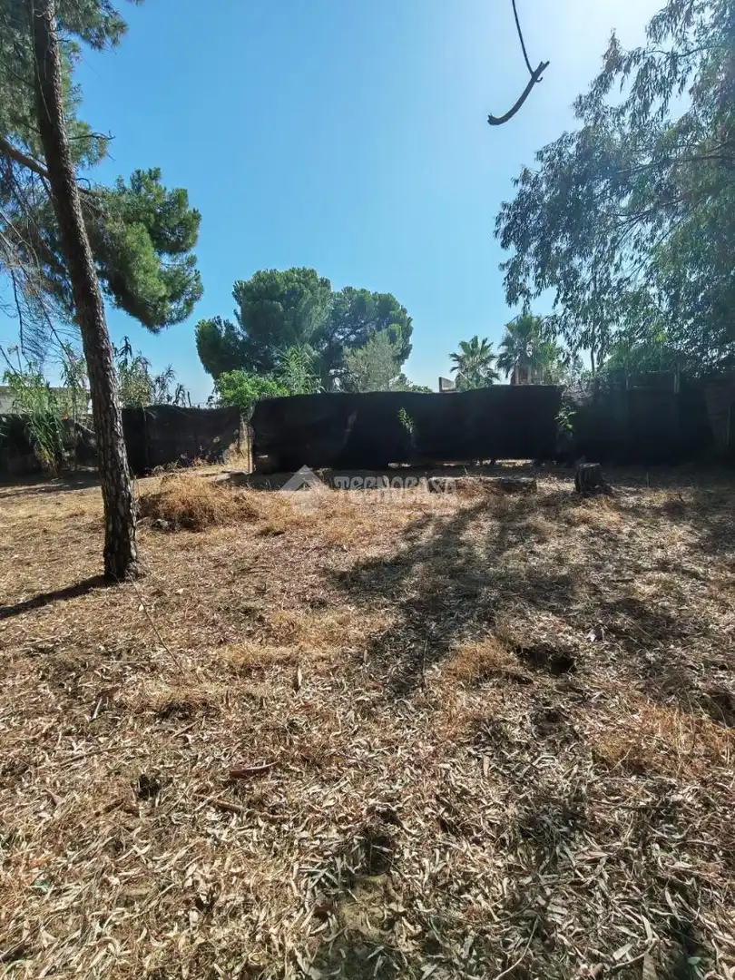 Terreno en venta en Marchena