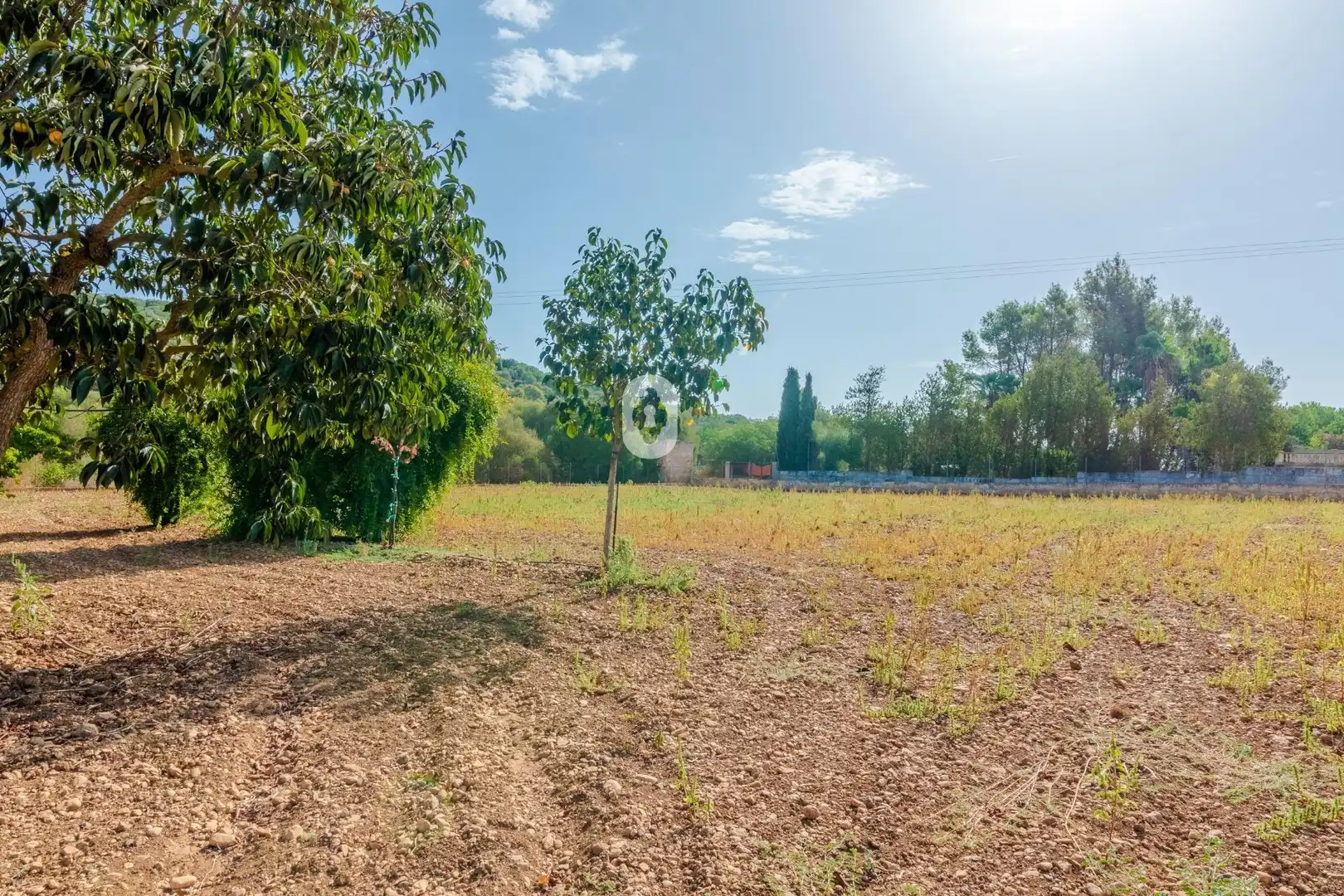 Casa rústica con piscina en venta en Polígono Campanet, imagen 49