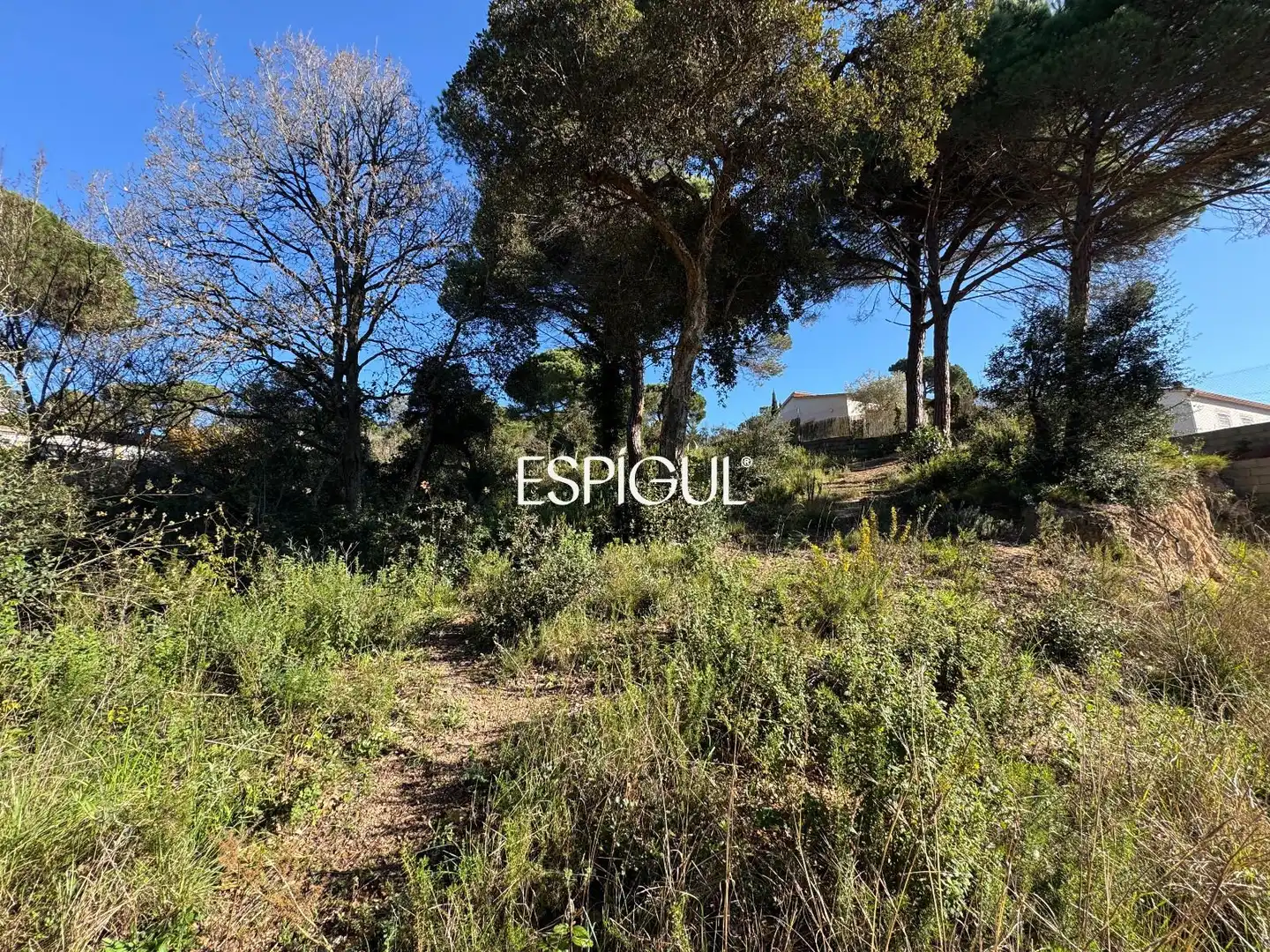 Terreno rústico en venta en Arboç, imagen 16