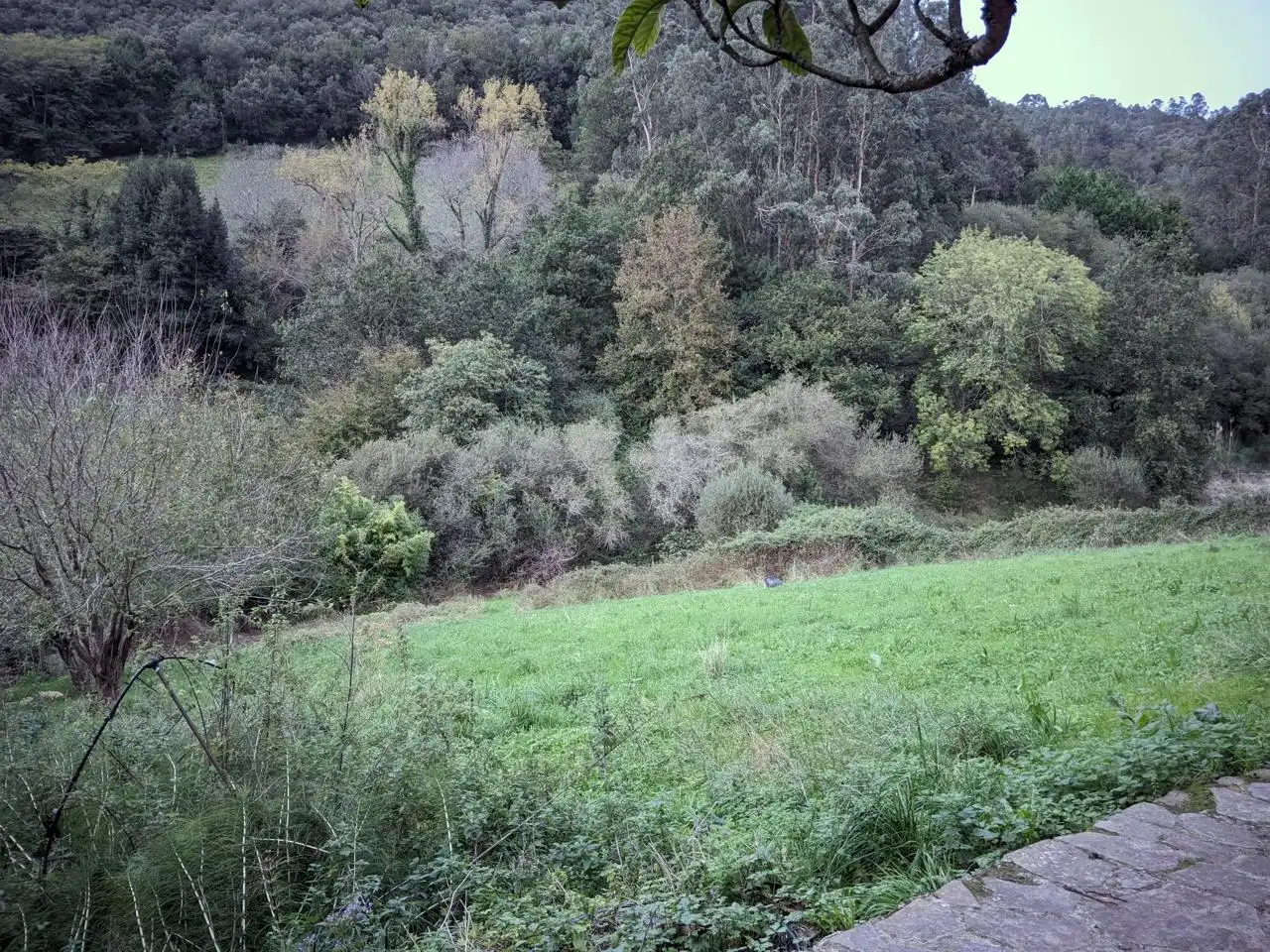 Casa con terrazza in vendita a Cañado, imagen 18