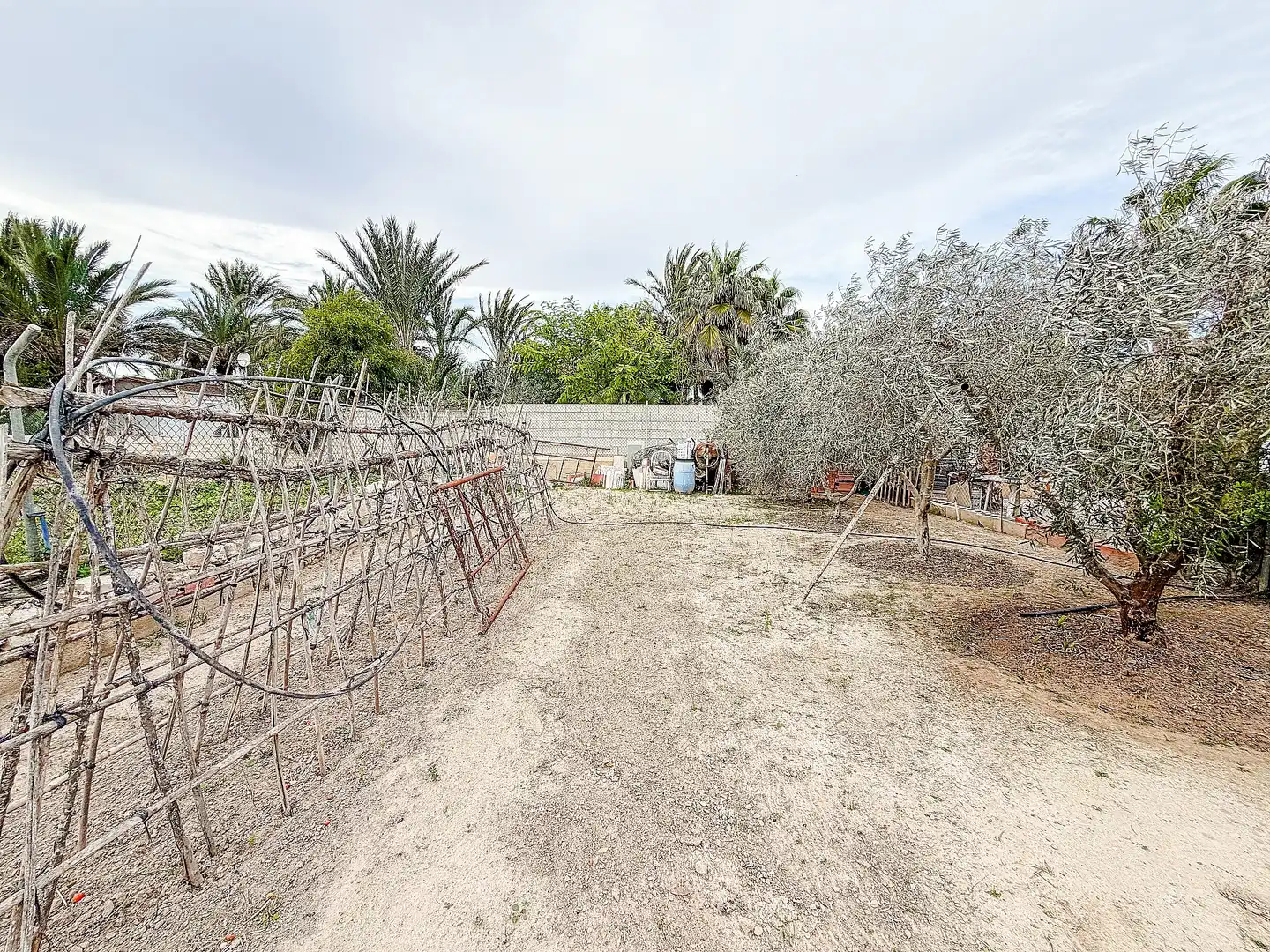 Country house for sale in Elche ciudad, imagen 41