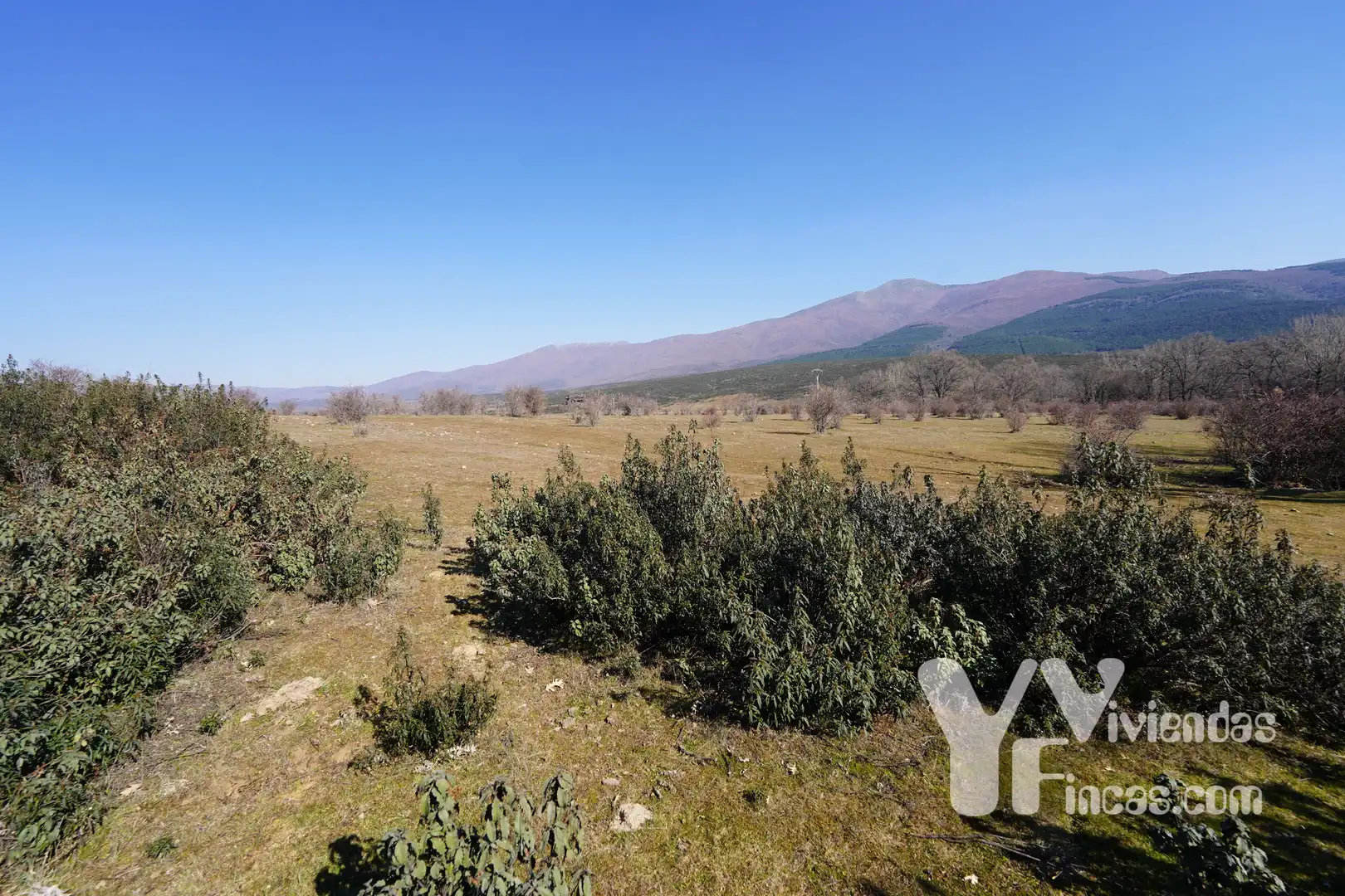 Terreno rústico en venta en Campillo de Ranas, imagen 21