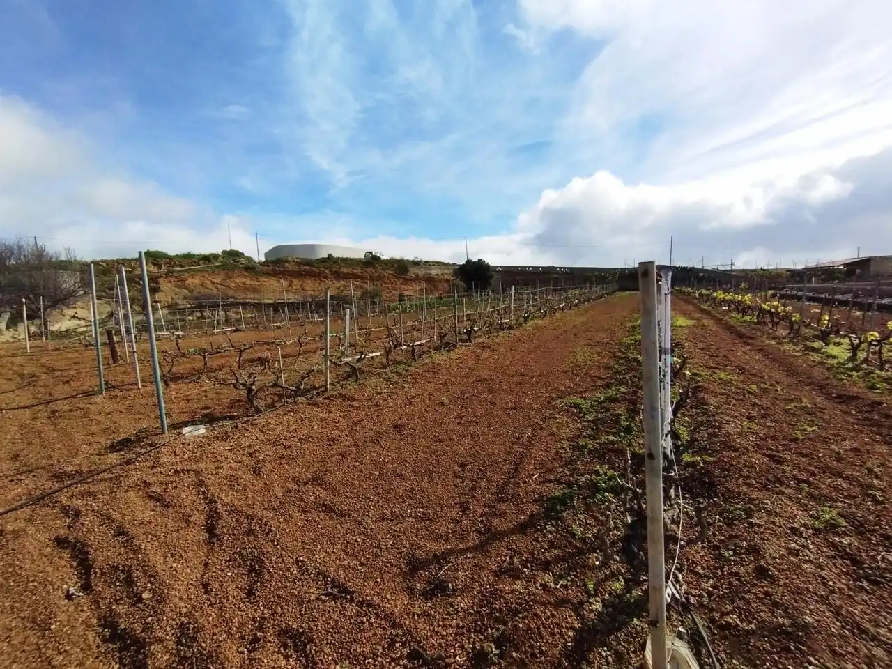 Terreno rustico in vendita a Arico, imagen 17