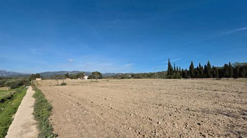 Photo 2 of Land for sale in Camí de Son Mulet, Marratxinet, Illes Balears
