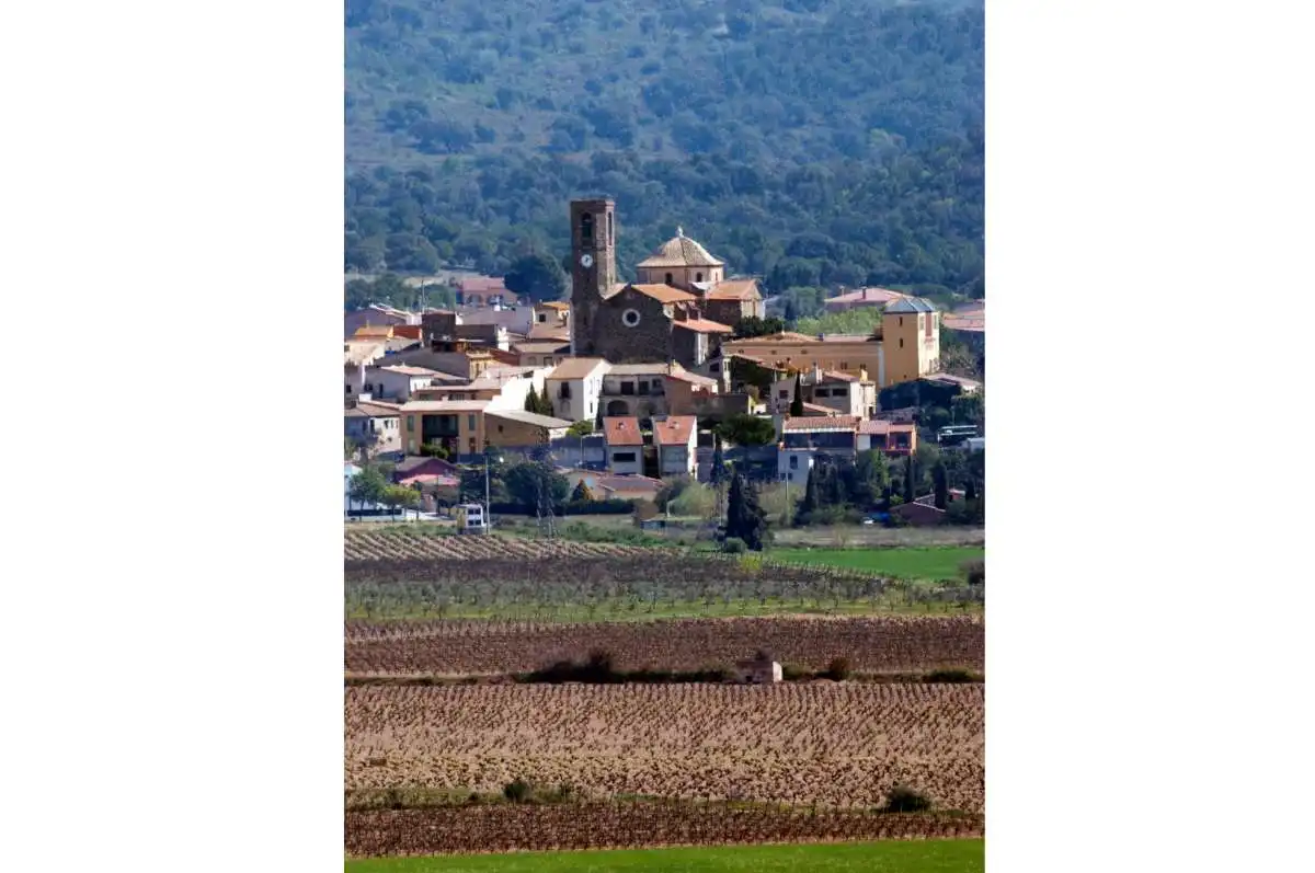 Lands and plots for sale in Garriguella, imagen 7
