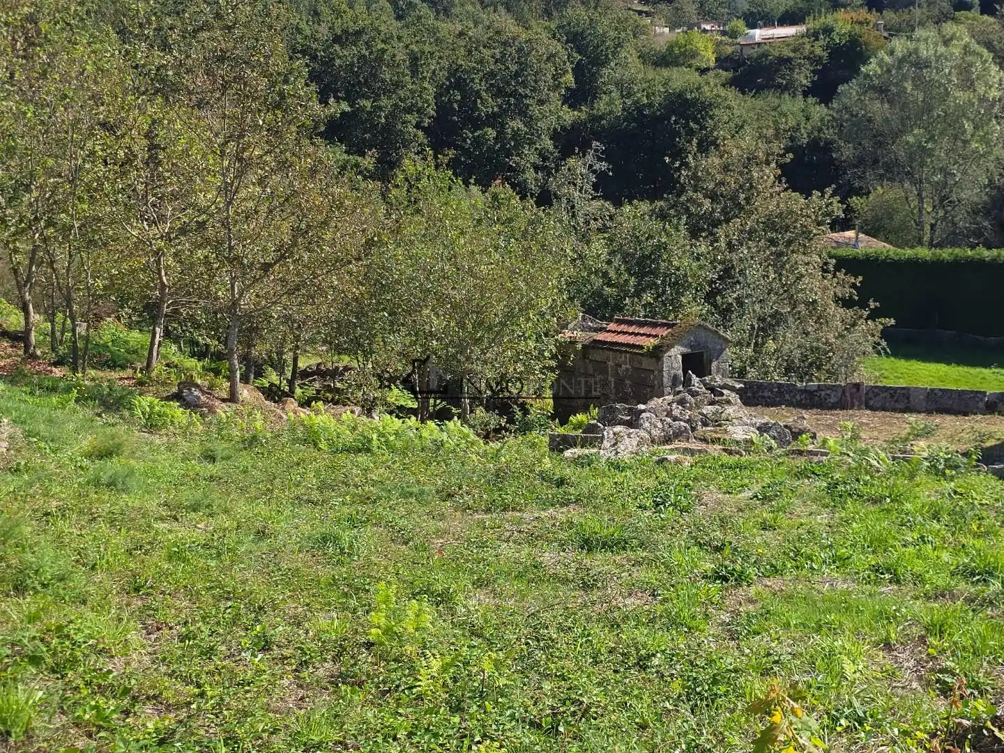 Terrenys i solars en venda a Cotobade, imagen 3