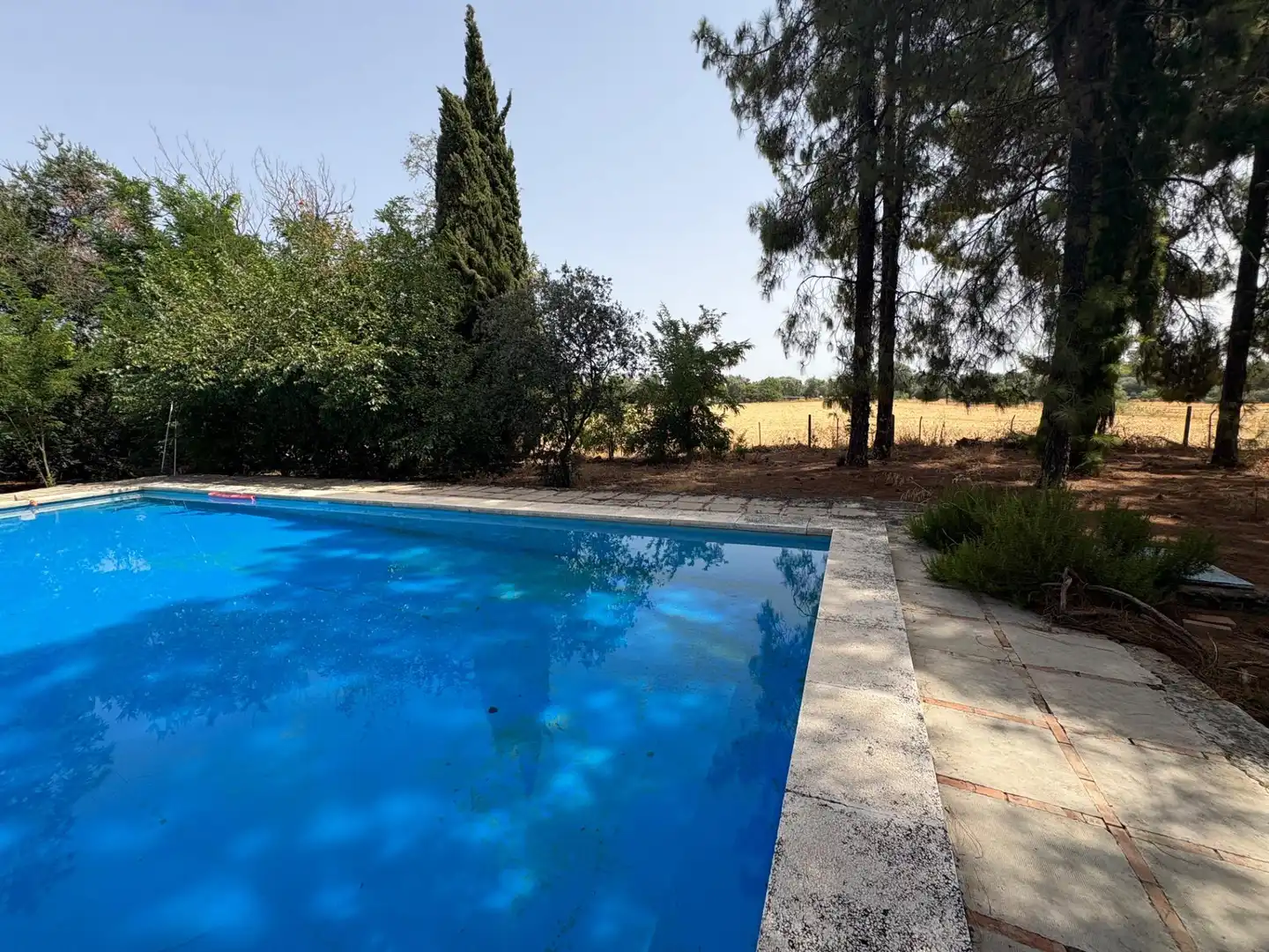 Piscina de Casa o xalet en venda en Córdoba amb Aire condicionat, Jardí privat i Piscina