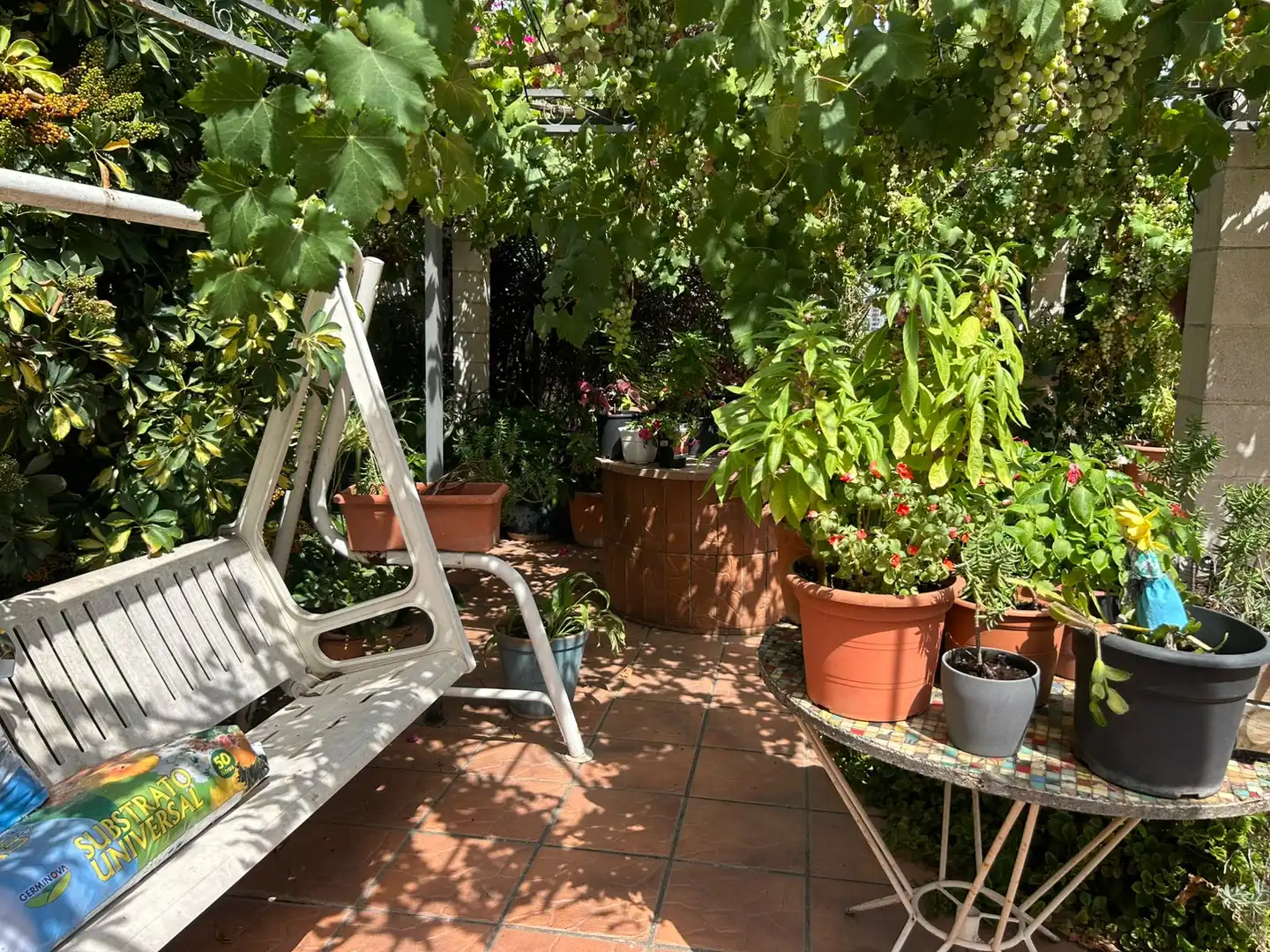 Casa amb piscina en venda a Carrer Miquel Ros del Llor, D, imagen 28