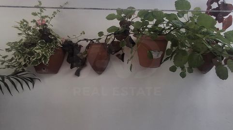 Foto 4 de Piso en venta en Medina Sidonia, Cádiz