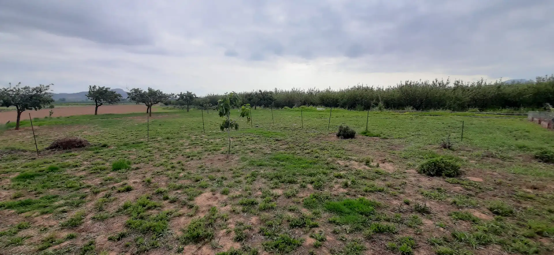Xalet amb jardí en venda a Entrena, imagen 11